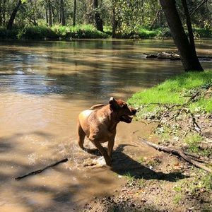 Meet your Posher, Michelle